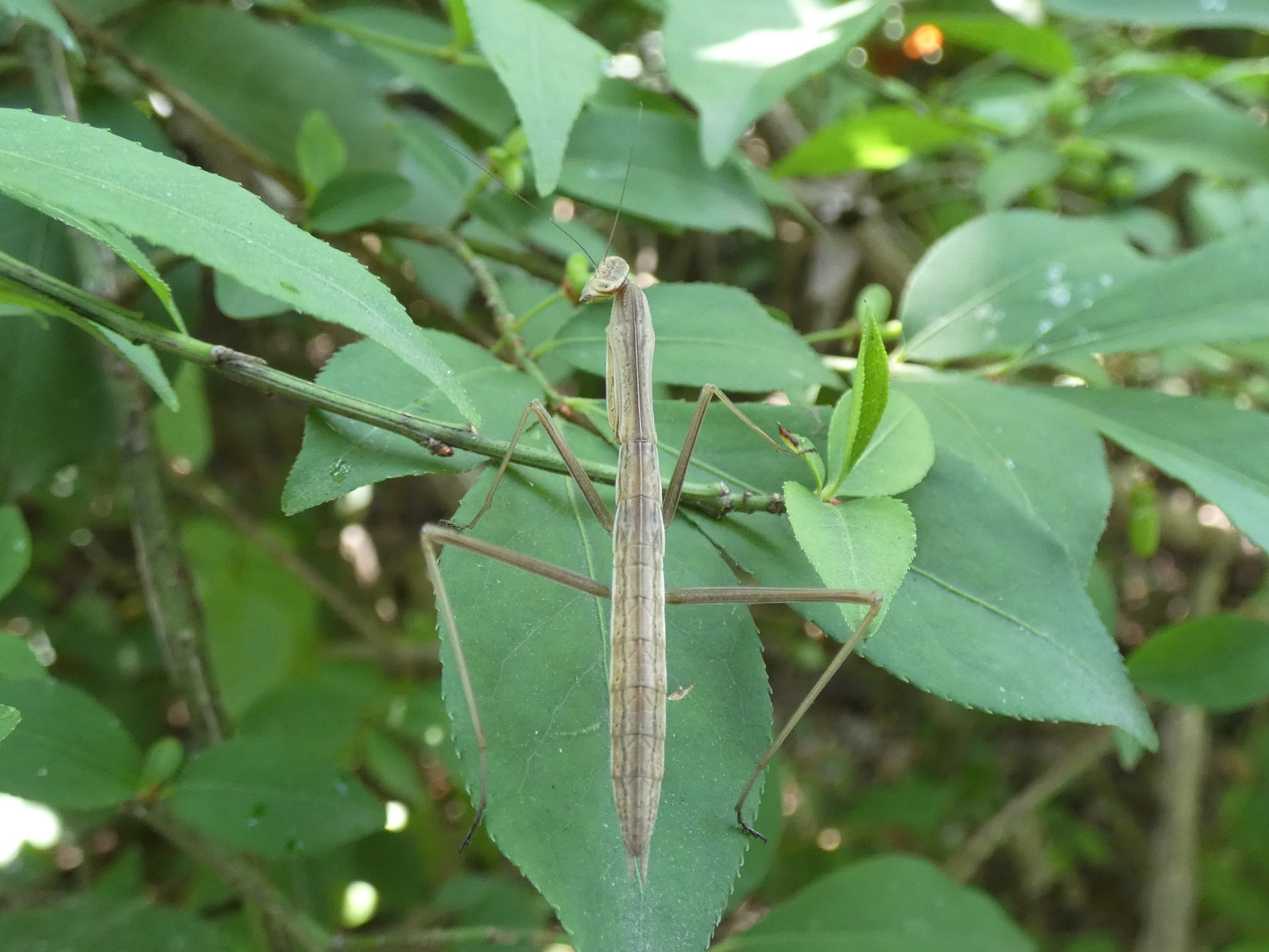 photo_1
